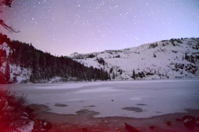 DSC_5978 (Large).JPG